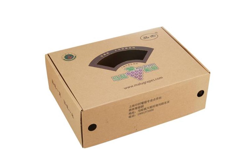 深圳纸箱厂：行业动态与发展趋势